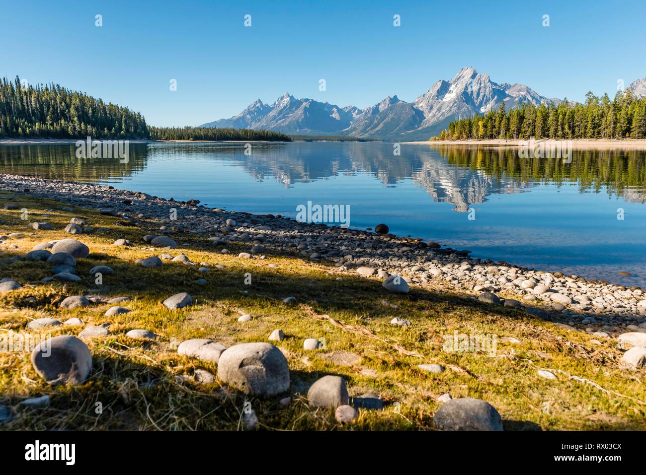 Berge im See spiegeln, Colter Bay Bay, Jackson Lake, Teton Range Bergkette, Grand Teton National Park, Wyoming, USA Stockfoto
