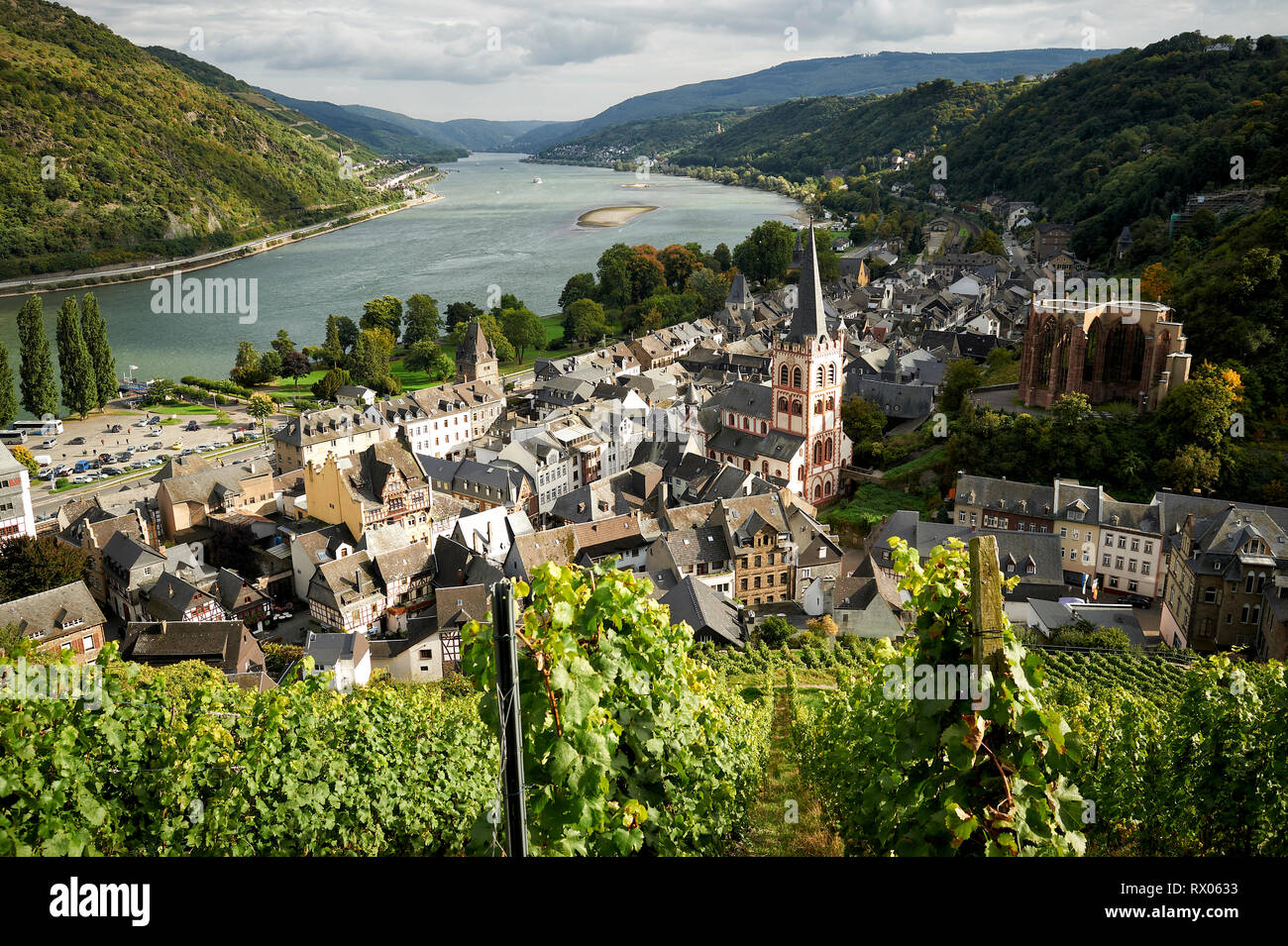 Blick in Bacherach am Rhein von einem Weinberg aus. Stockfoto