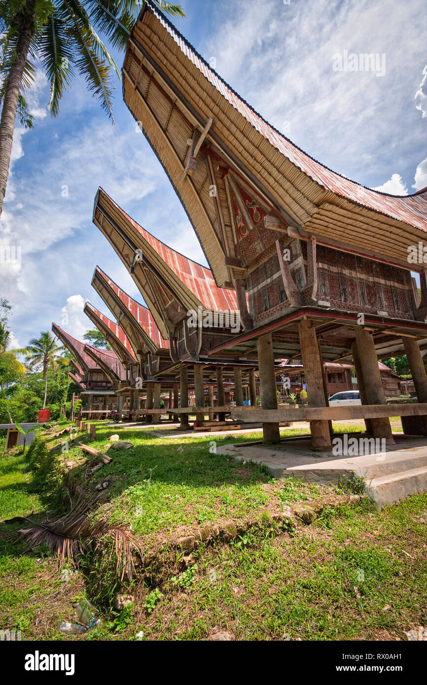 Tana Toraja Regency ist eine Regentschaft von South Sulawesi Provinz von Indonesien, und die Heimat der Toraja ethnische Gruppe. Kete Kesu ist ein Muss. Stockfoto