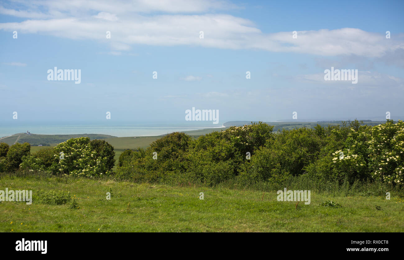 Beachy Head Eastbourne England Stockfoto