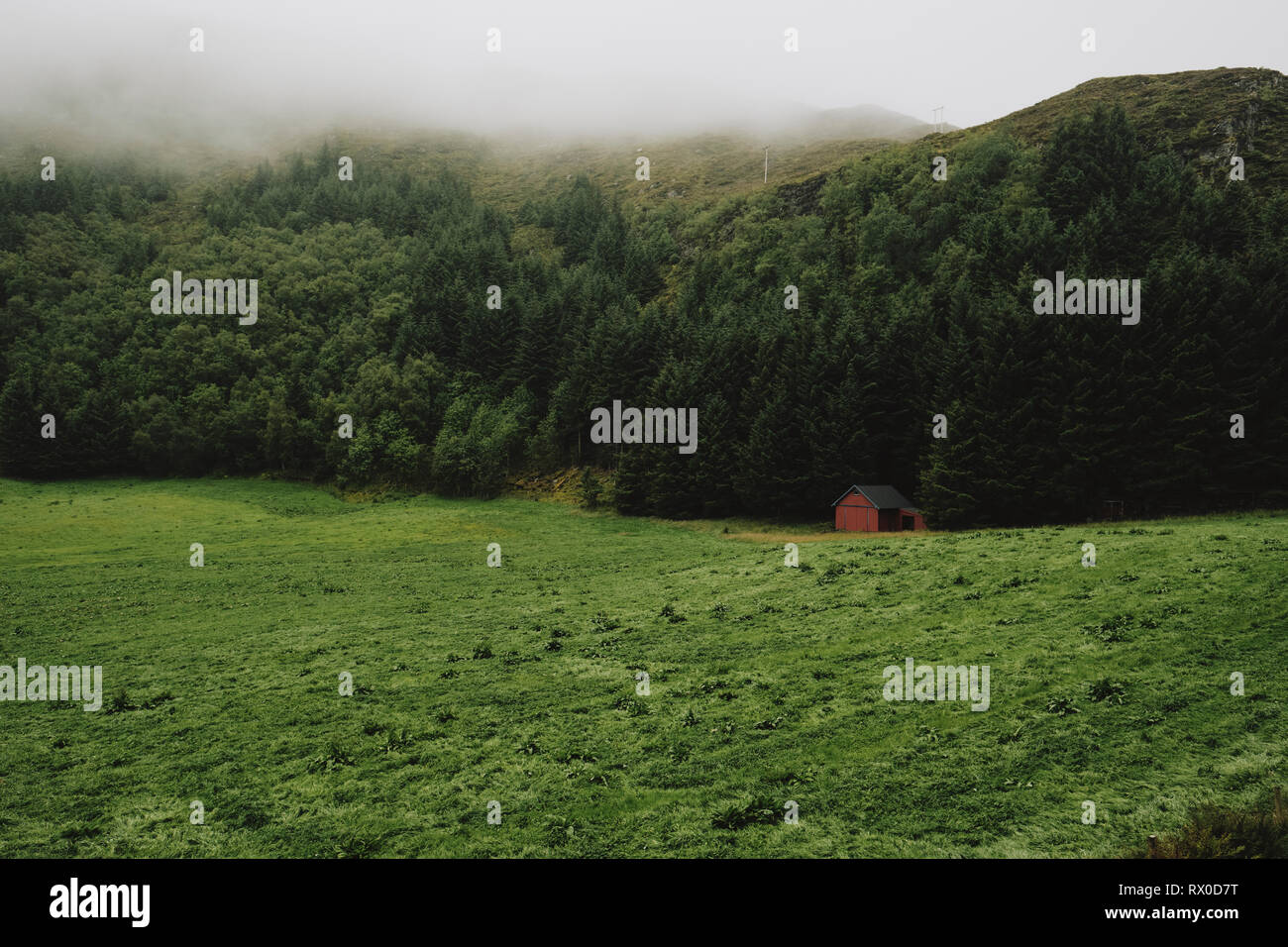 Ein einsames rotes Fachwerkhaus in Gras und Woodland low Cloud norwegischen Landschaft Stockfoto