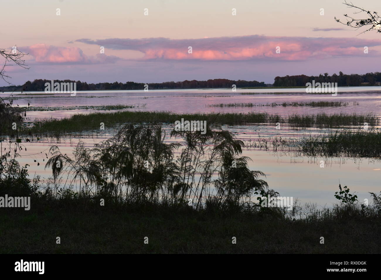 Florida Sonnenuntergang über dem See Stockfoto