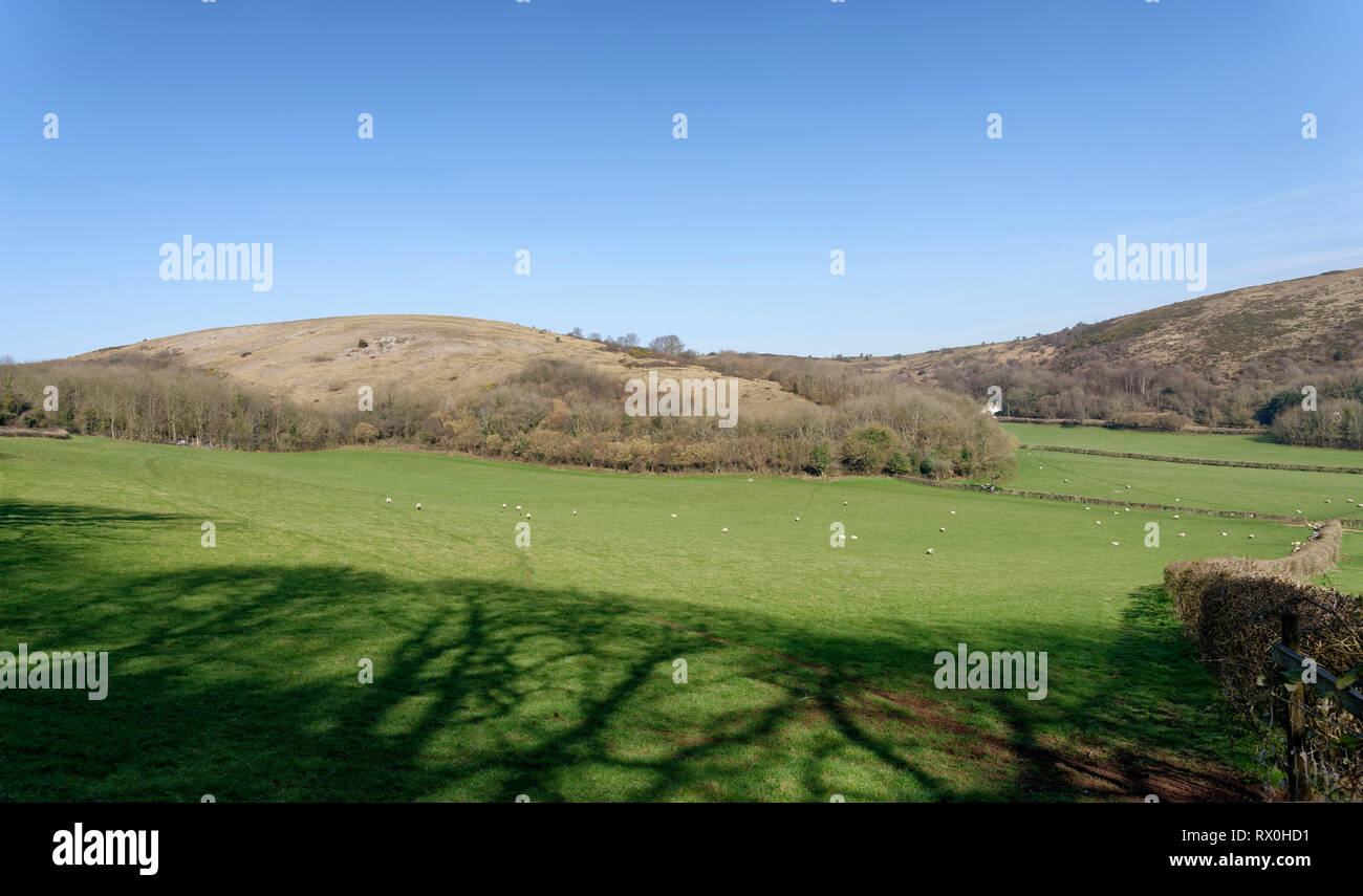 Compton Hügel zwischen Crook Peak und Schwanken, Compton Bishop, Somerset, Großbritannien Stockfoto