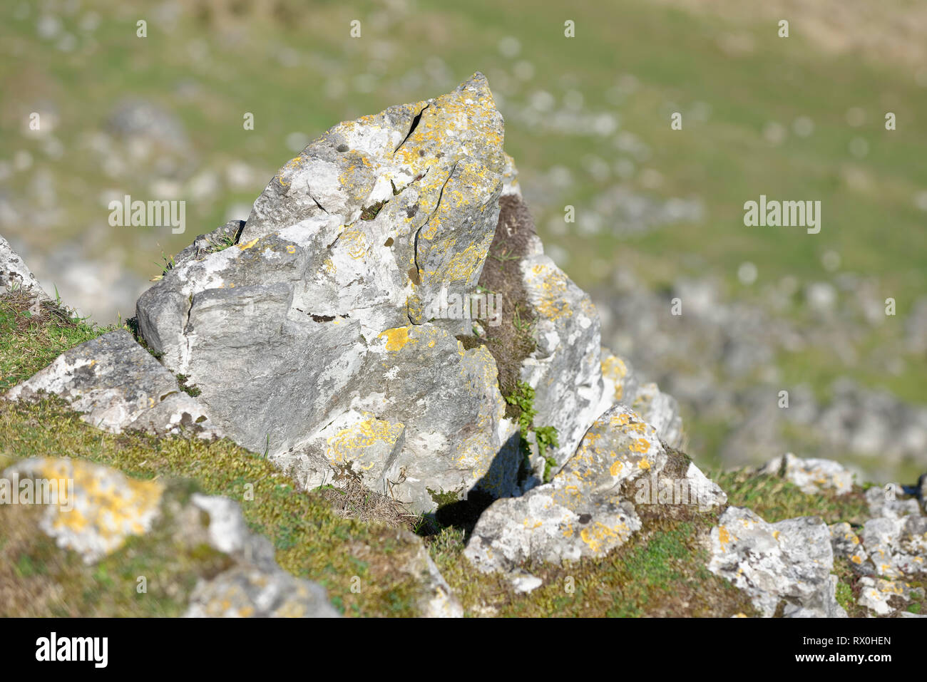 Karbon Kalkstein Felsen auf Crook Peak, Compton Bishop, Somerset, Großbritannien Stockfoto