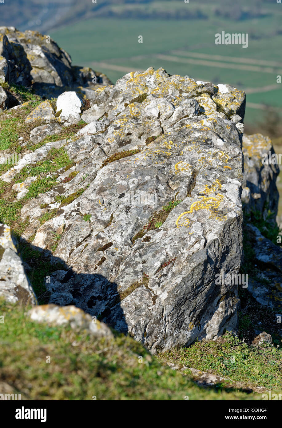 Karbon Kalkstein Felsen auf Crook Peak, Compton Bishop, Somerset, Großbritannien Stockfoto