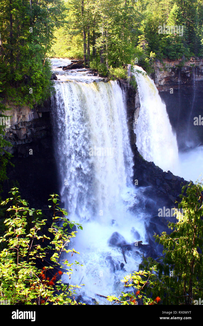 40,719.00139 Canim Falls Wasserfall double Dual 2 Wasserfälle vertikalen Klippe Canim River 66 m hohen Wald Canyon fallenden Wasser spray Stockfoto