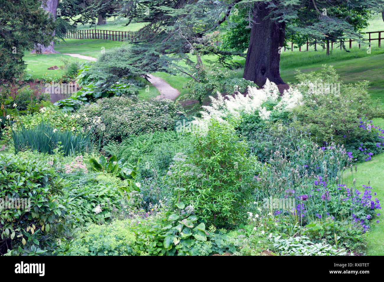 Kiesweg durch üppige Englischer Garten mit Blumen, Büschen, alten Bäumen. Stockfoto