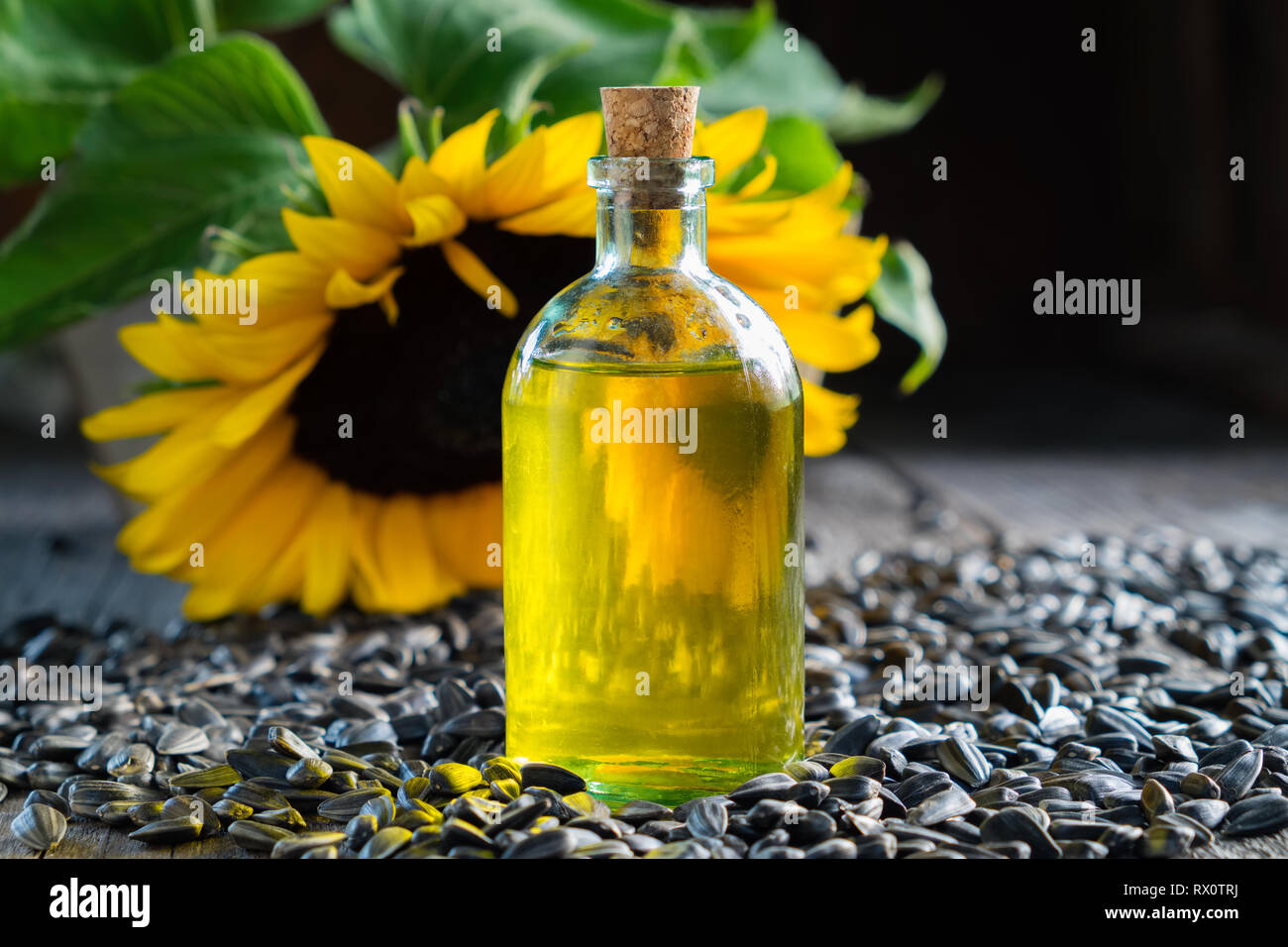Flasche Sonnenblumenöl, Samen und schöne gelbe Sonnenblumen auf Hintergrund. Stockfoto