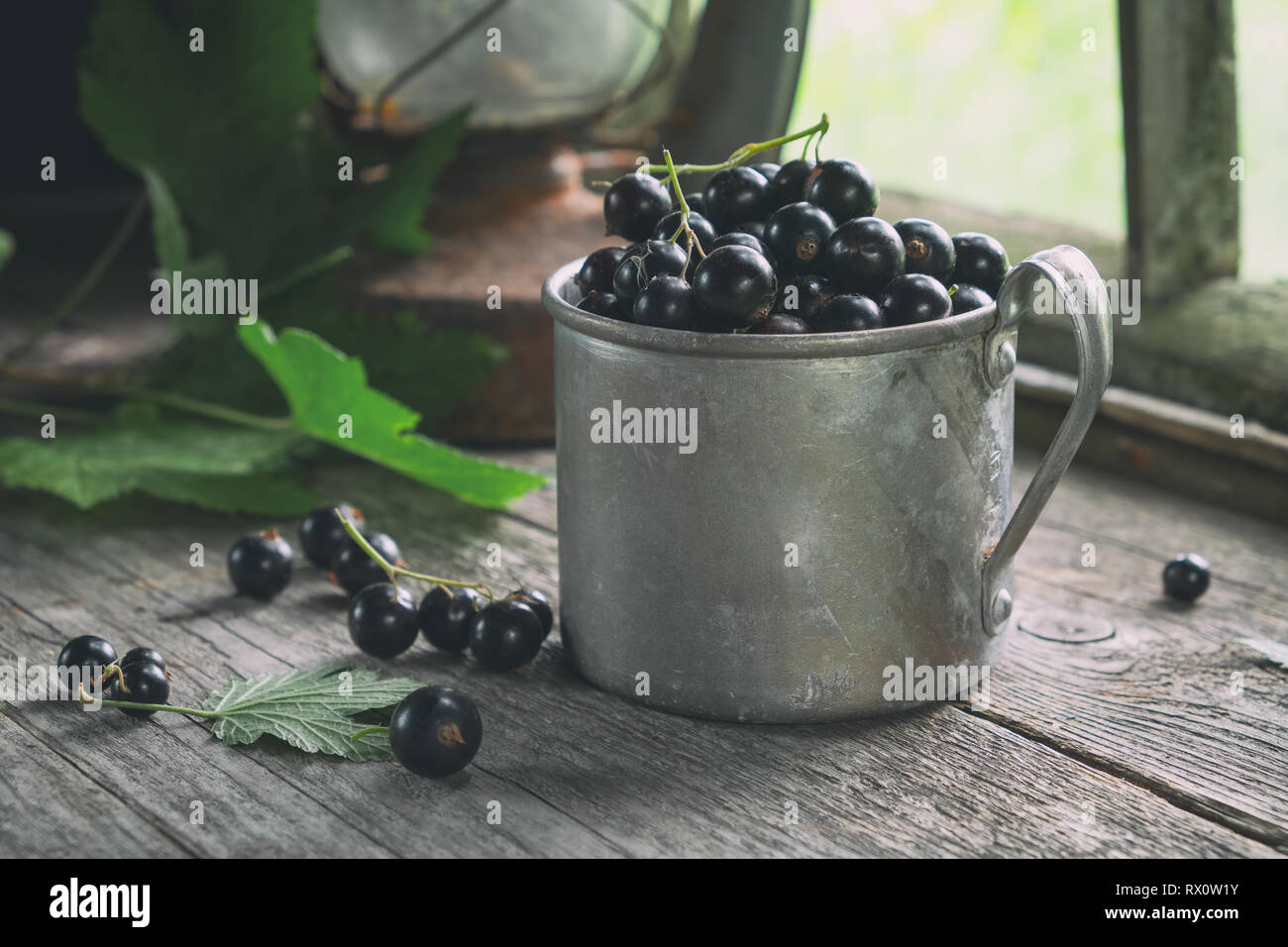 Becher voll von schwarzen Johannisbeeren Beeren auf hölzernen Tisch in einer retro Haus im Dorf. Stockfoto