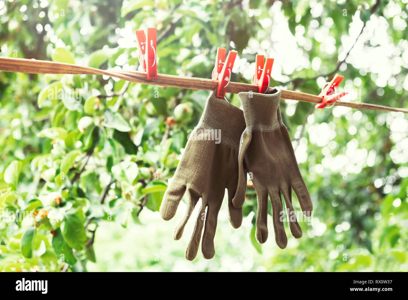 Gartenhandschuhe hängend an einem Seil mit Wäscheklammern im Garten. Stockfoto