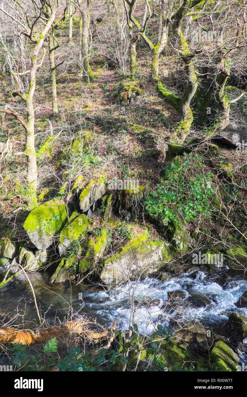 Schöne, Künstler Tal, Cwm Einion, River Valley, der, Einion Fluss, und, Celtic, Regenwald, baum, bäume, oben, Dorf, von, Ofen, Ceredigion, Wales, Welsh Stockfoto