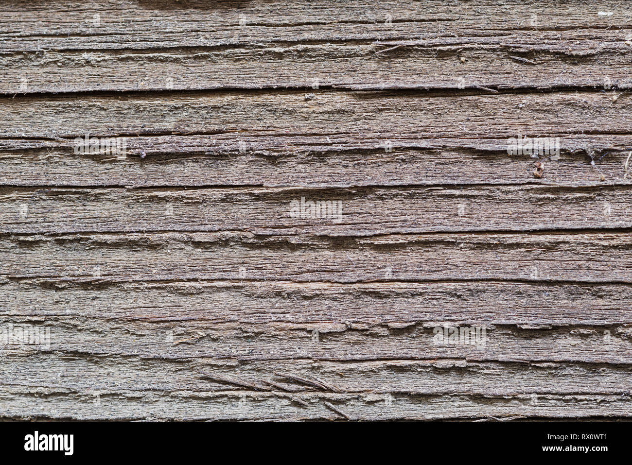 Stark verwitterte grau Holz Nahaufnahme Hintergrund Textur Stockfoto