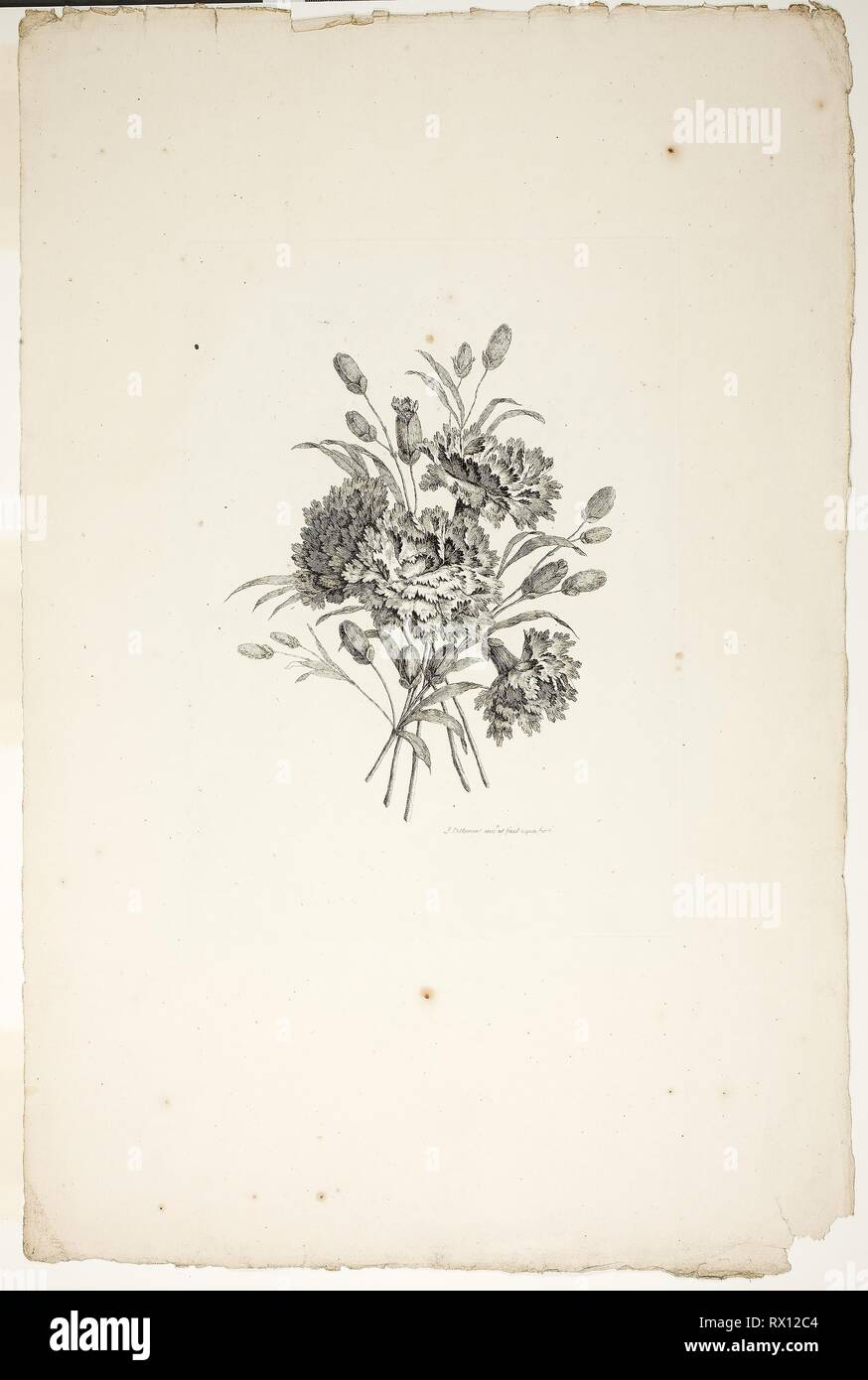 Blumenstrauß mit Nelken, aus der Sammlung verschiedener Blumensträuße, erfunden und gezeichnet von Jean Pillement und gestochen von S. C. Canot. Pierre-Charles Canot (Französisch, 1710-1777); nach Jean-Baptiste Pillement (Französisch, 1728-1808); herausgegeben von Charles Leviez (Französisch, 1708-1778). Datum: 1760. Abmessungen: 300 x 211 mm (Platte); 540 × 360 mm (Blatt). Radierung auf Elfenbein Bütten. Herkunft: Frankreich. Museum: Das Chicago Art Institute. Stockfoto