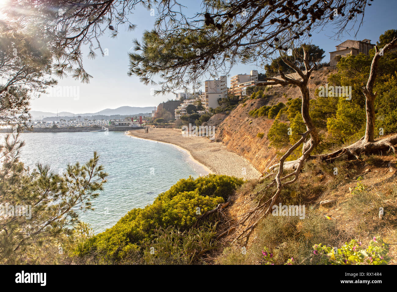 Die Bucht von Portals Nous auf Mallorca, Spanien Stockfoto