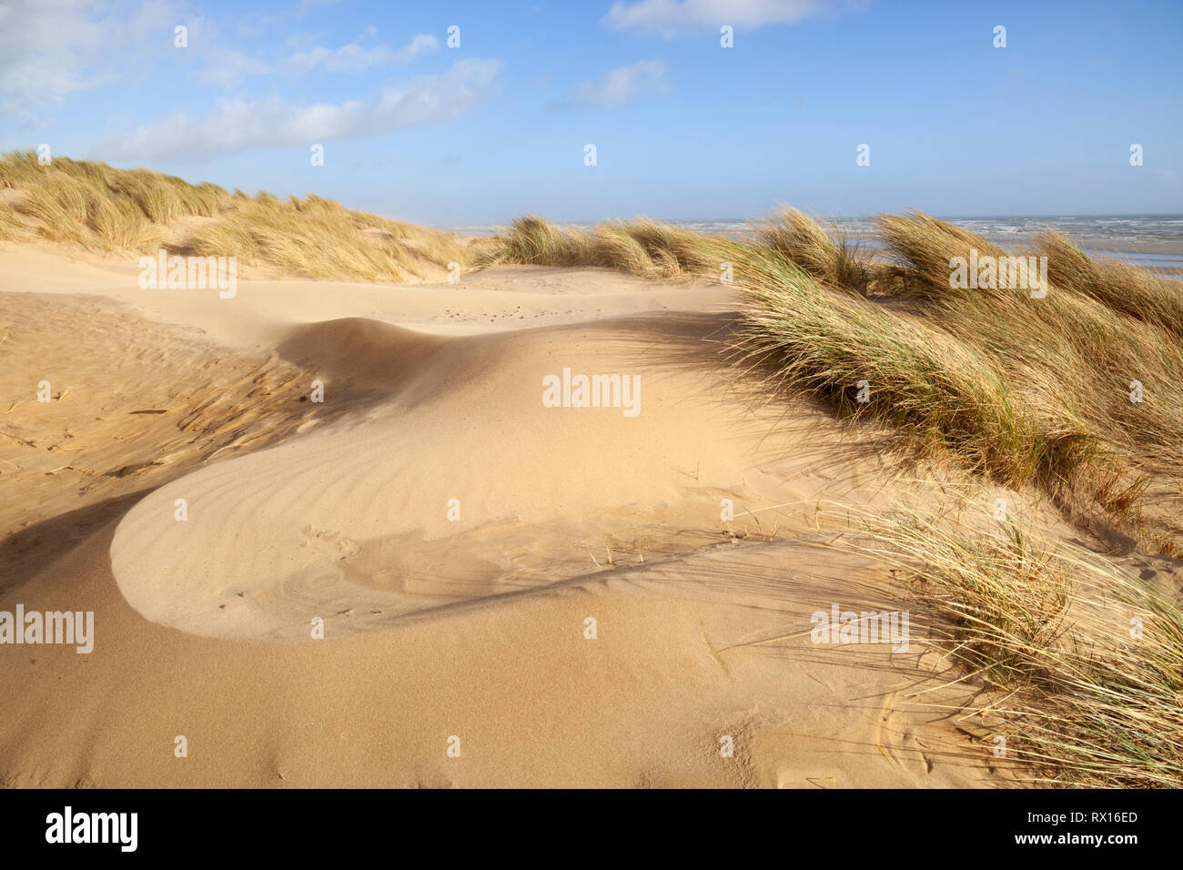 Windgepeitschten Dünen auf Camber Sands, Sturz, in der Nähe von Rye, East Sussex, England, Vereinigtes Königreich, Europa Stockfoto