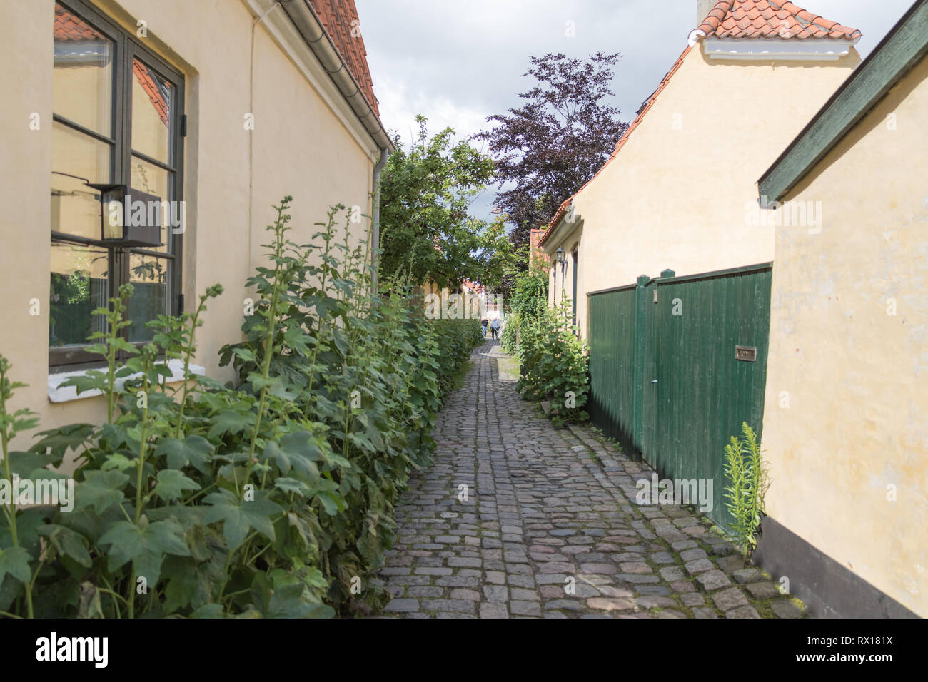 Dragør Altstadt mit engen, kopfsteingepflasterten Gassen mit historischen bunte Häuser von den 1700 und 1800er Jahren und ist ein charmantes Fischerdorf gesäumt. Stockfoto