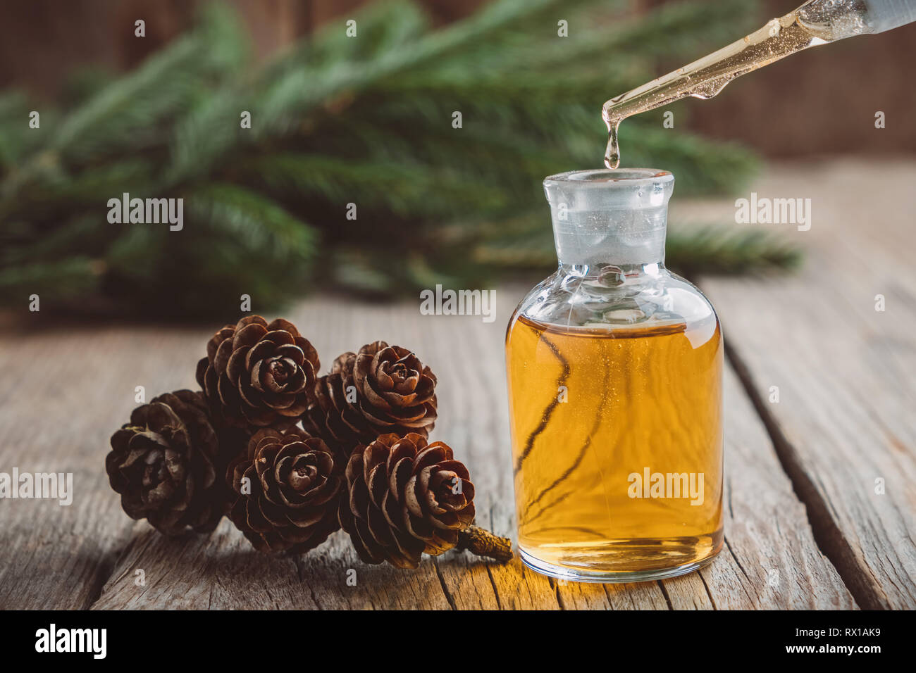 Tanne aromatisches Öl in einem Glas dropper Flasche, einen Tropfen pine ätherisches Öl tropft aus Glas Dropper. Fichte Kegel, Nadelholz Äste auf Backgr Stockfoto