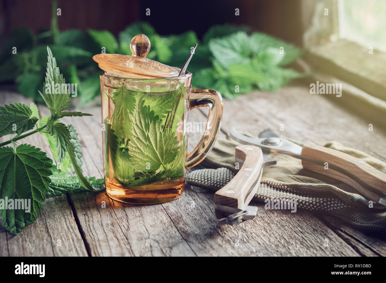 Gesunde Brennnessel Tee oder Infusion, Nessel Pflanzen, Handschuhe und Garten Gartenschere auf hölzernen Tisch in einer retro Haus im Dorf. Stockfoto
