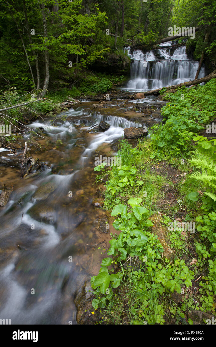 Wagner fällt, Alger County, Michigan, USA Stockfoto