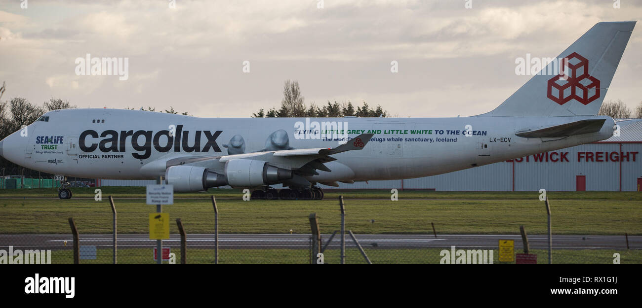 Seltene Farbe Job von Sea Life Trust ziert ein cargolux Boeing 747 Jumbo Jet Air Freight in Prestwick International Airport, UK gesehen. Stockfoto