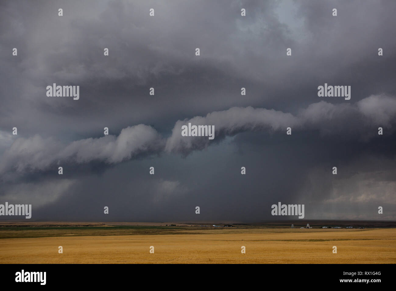 Judith Basin County, Montana, USA Stockfoto