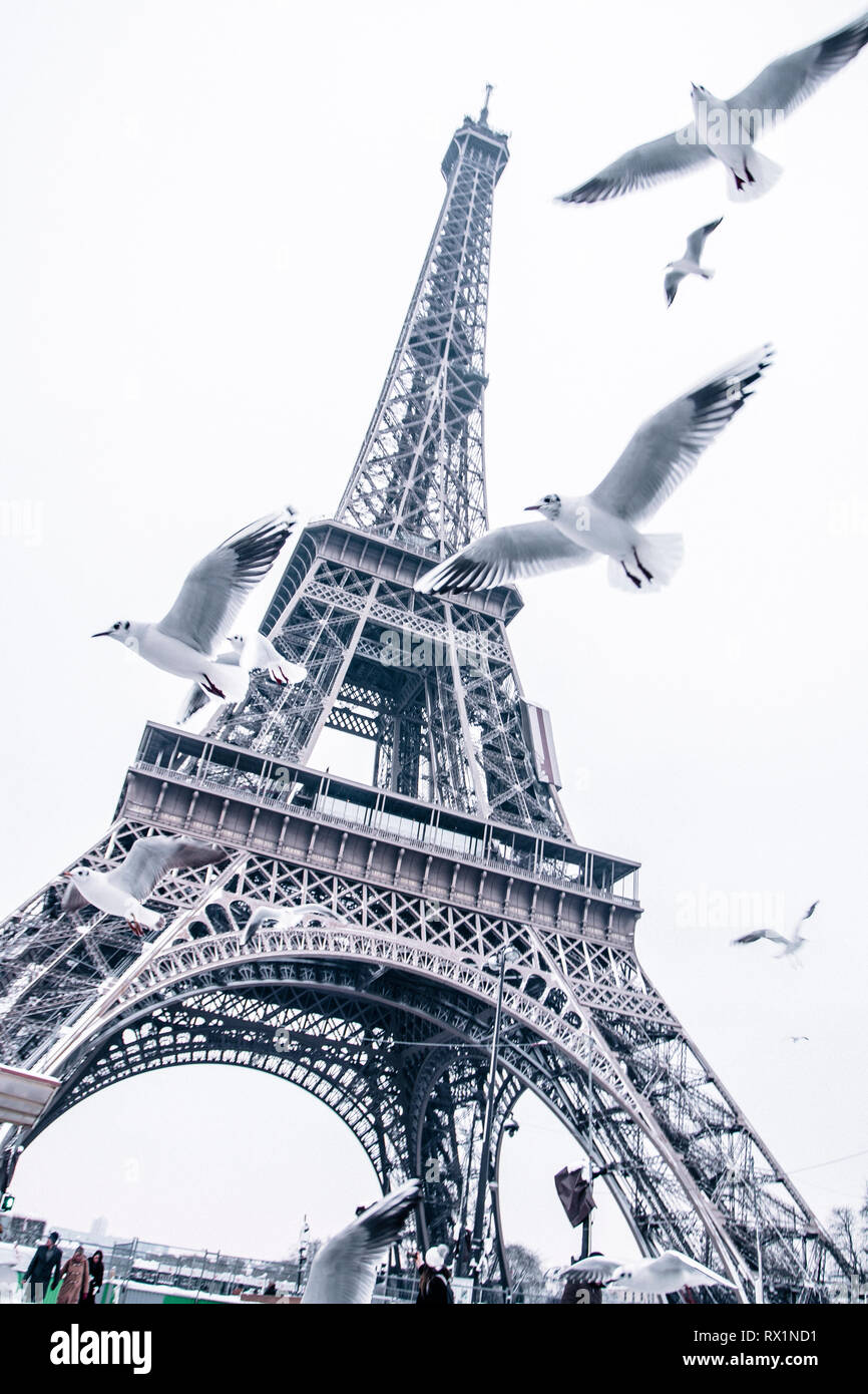Low Angle View von Vögeln gegen Eiffelturm fliegen in Stadt Stockfoto