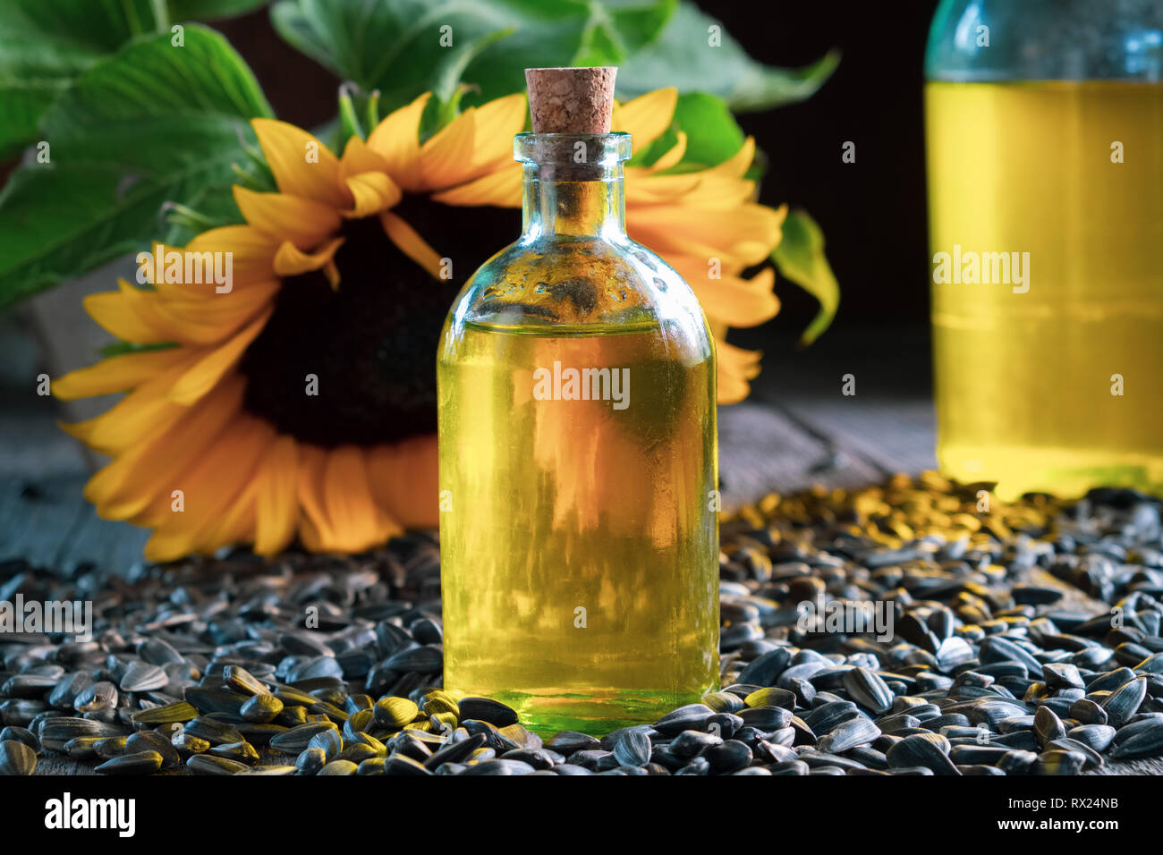 Flasche frisches Sonnenblumenöl, Samen und Sonnenblumenkerne auf Hintergrund. Stockfoto
