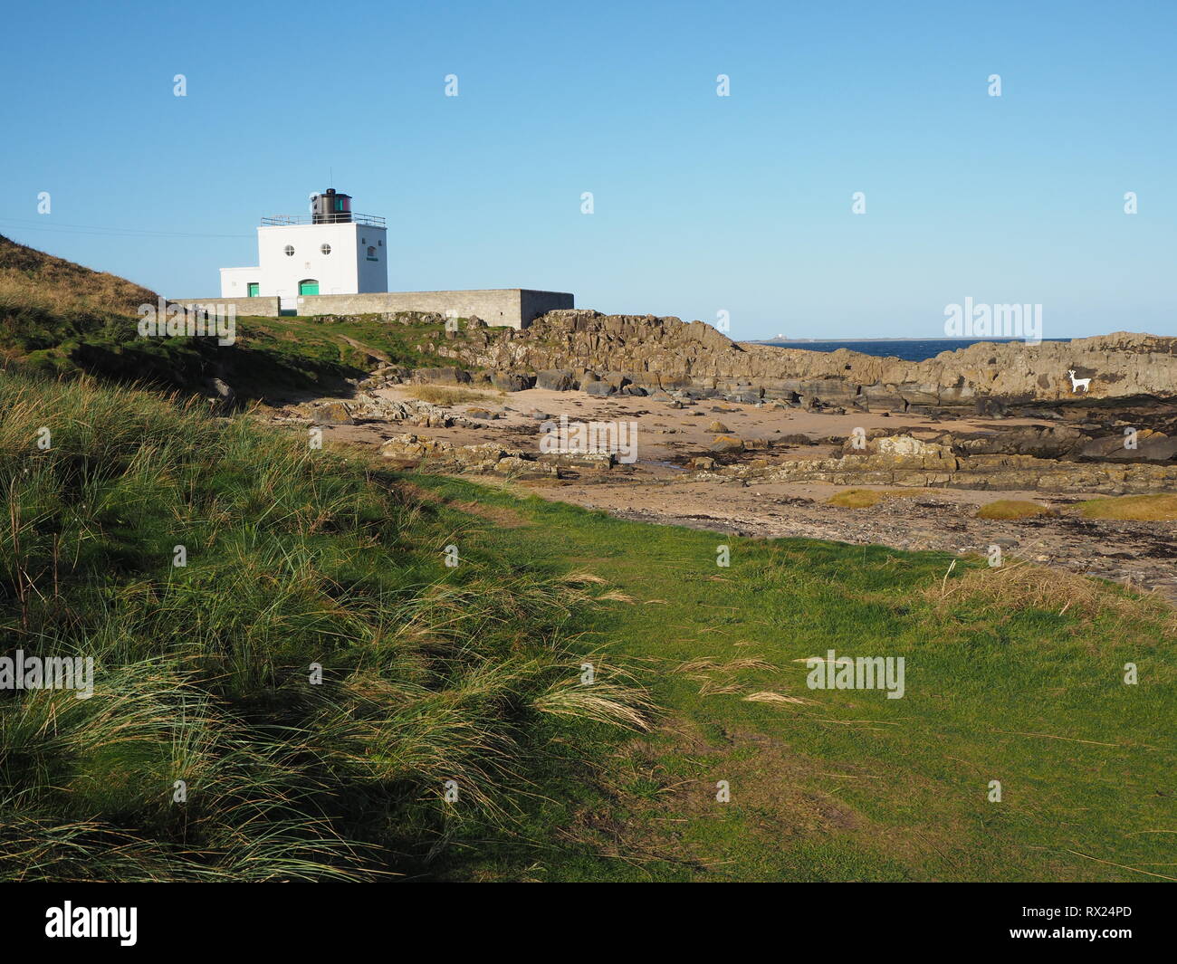 Leuchtturm an der Küste von Bamburgh, Northumberland, England, mit Gras bewachsenen Sanddünen Stockfoto