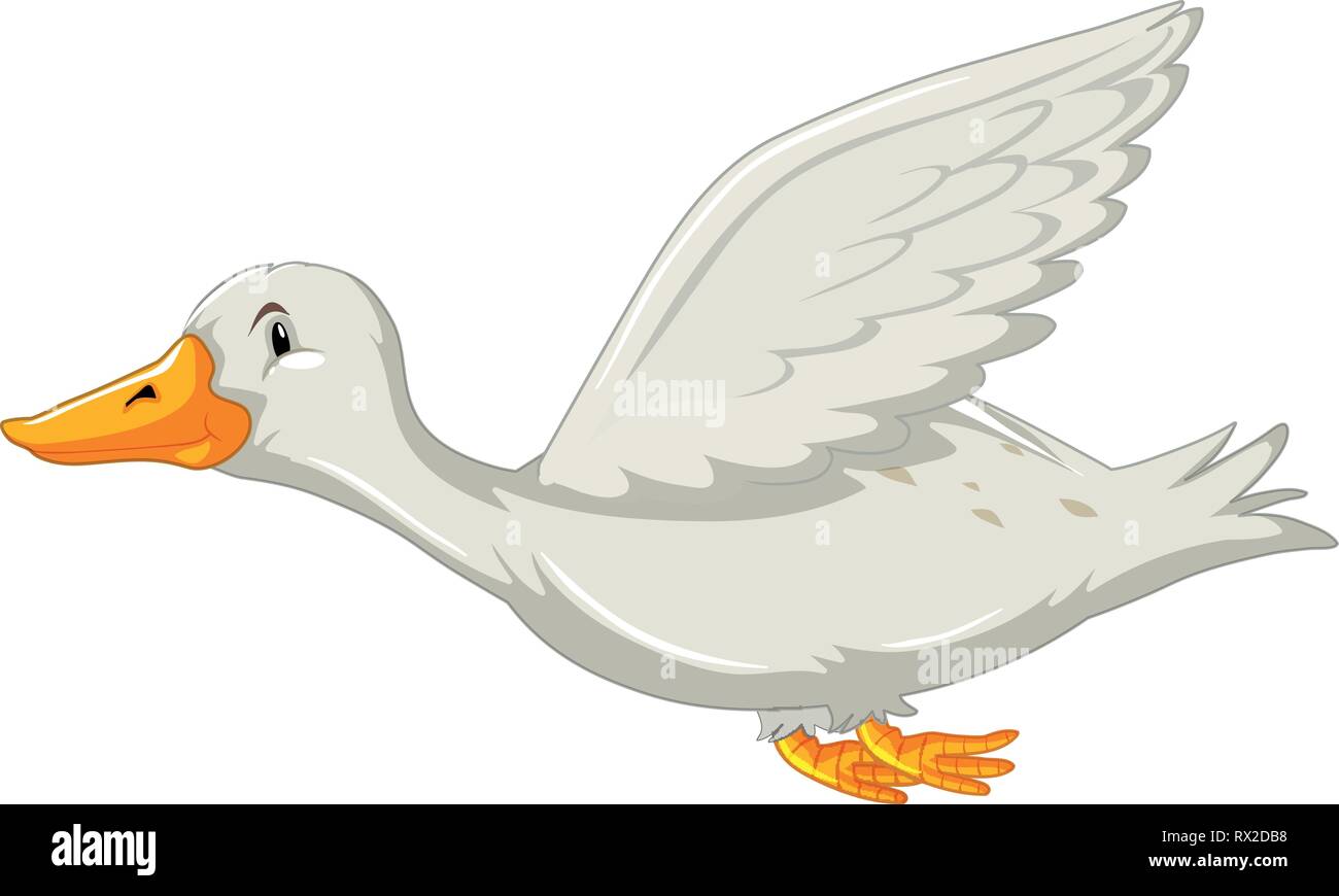 Fliegende Ente Stock Vektorgrafiken Kaufen Alamy