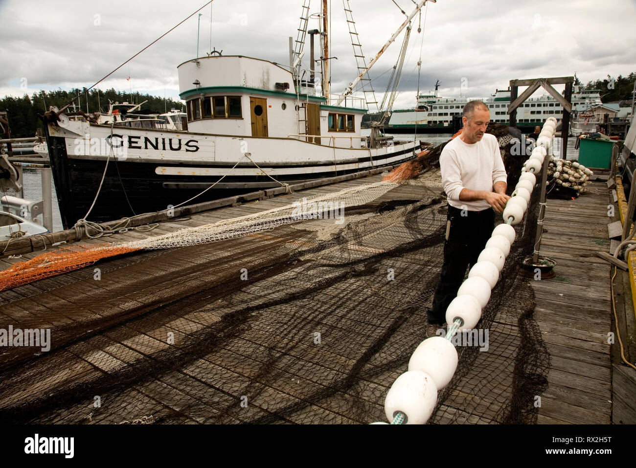 WA 02413-00 ... WASHINGTON - Mitglieder von Griffin Bay Seafoods arbeiten die Netze in Friday Harbor auf der San Juan Insel. Stockfoto
