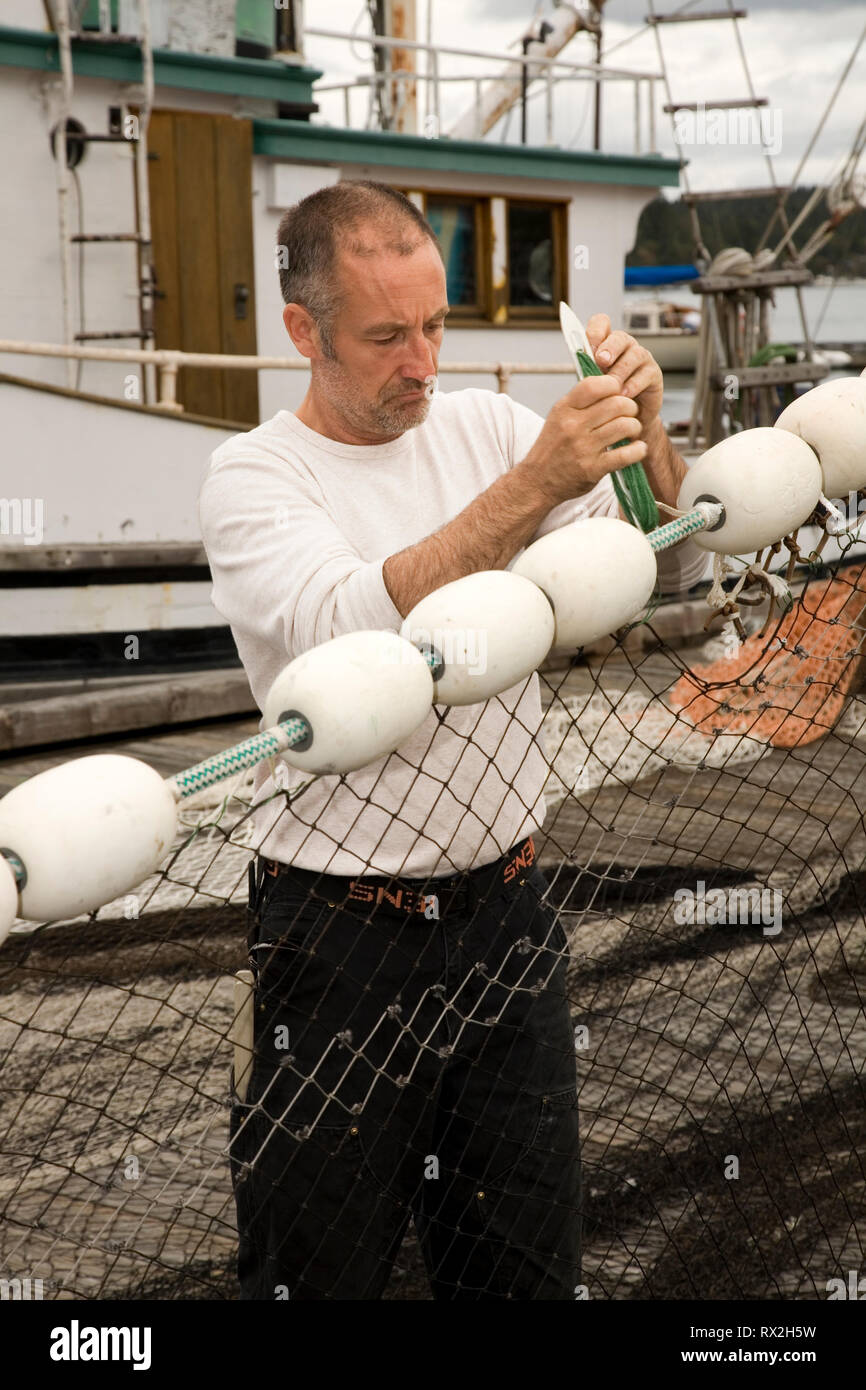 WA 02415-00 ... WASHINGTON - Mitglieder von Griffin Bay Seafoods arbeiten die Netze in Friday Harbor auf der San Juan Insel. Stockfoto