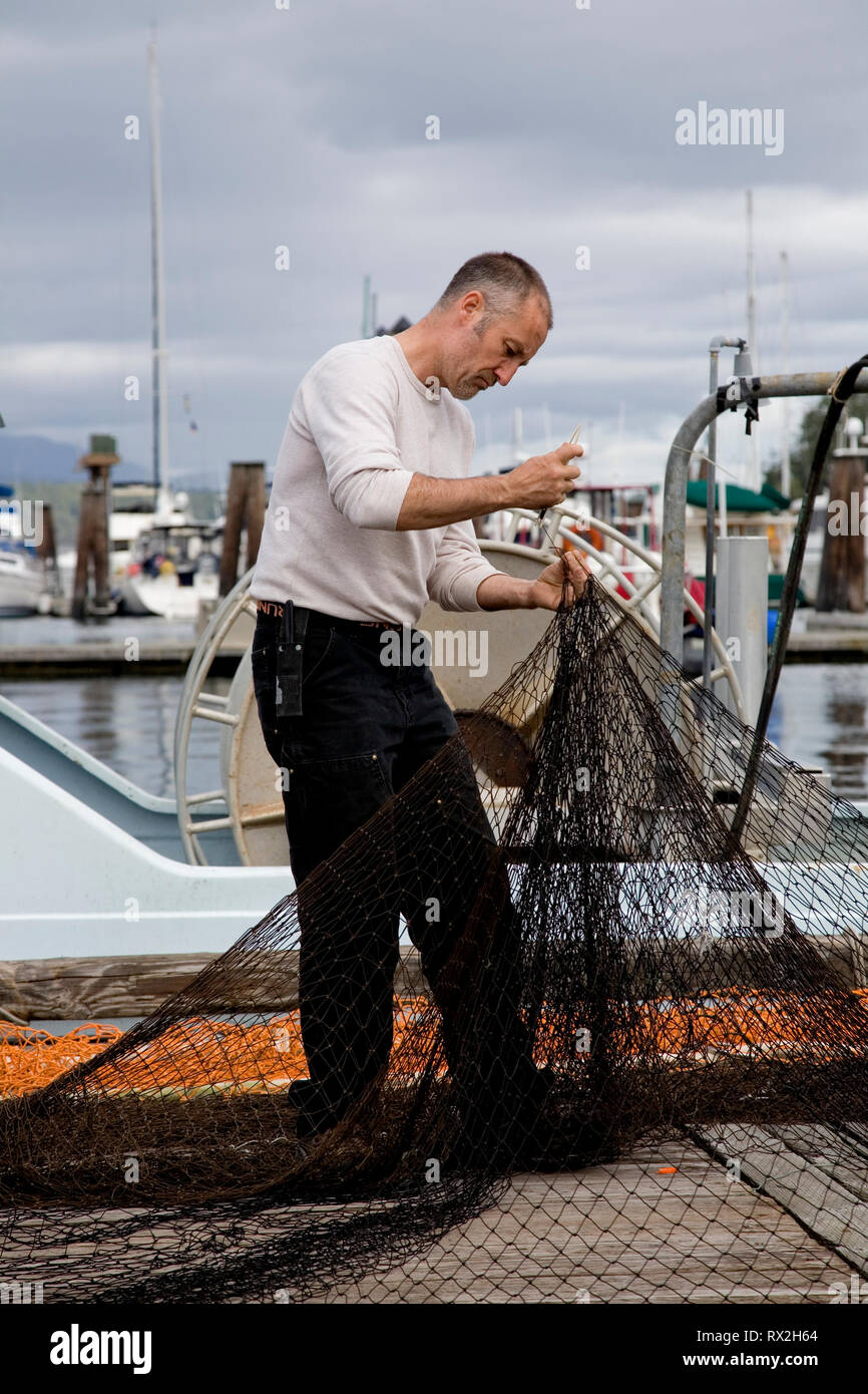 WA 02419-00 ... WASHINGTON - Mitglieder von Griffin Bay Seafoods arbeiten die Netze in Friday Harbor auf der San Juan Insel. Stockfoto