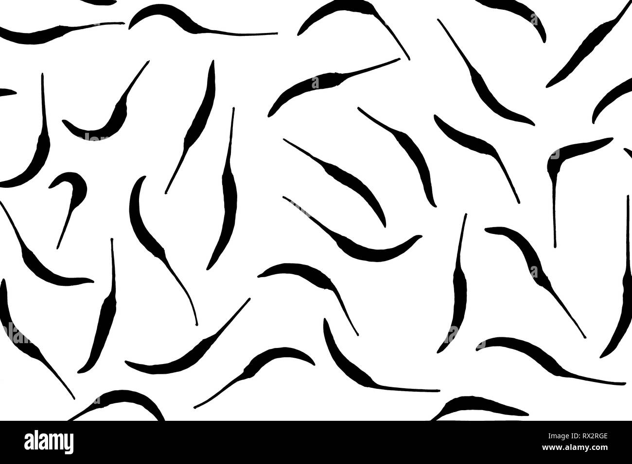 Blick von oben auf die frische Chili ist ein Frame Muster auf weißem Hintergrund. Frische chili Picture Style schwarz und weiß. Stockfoto