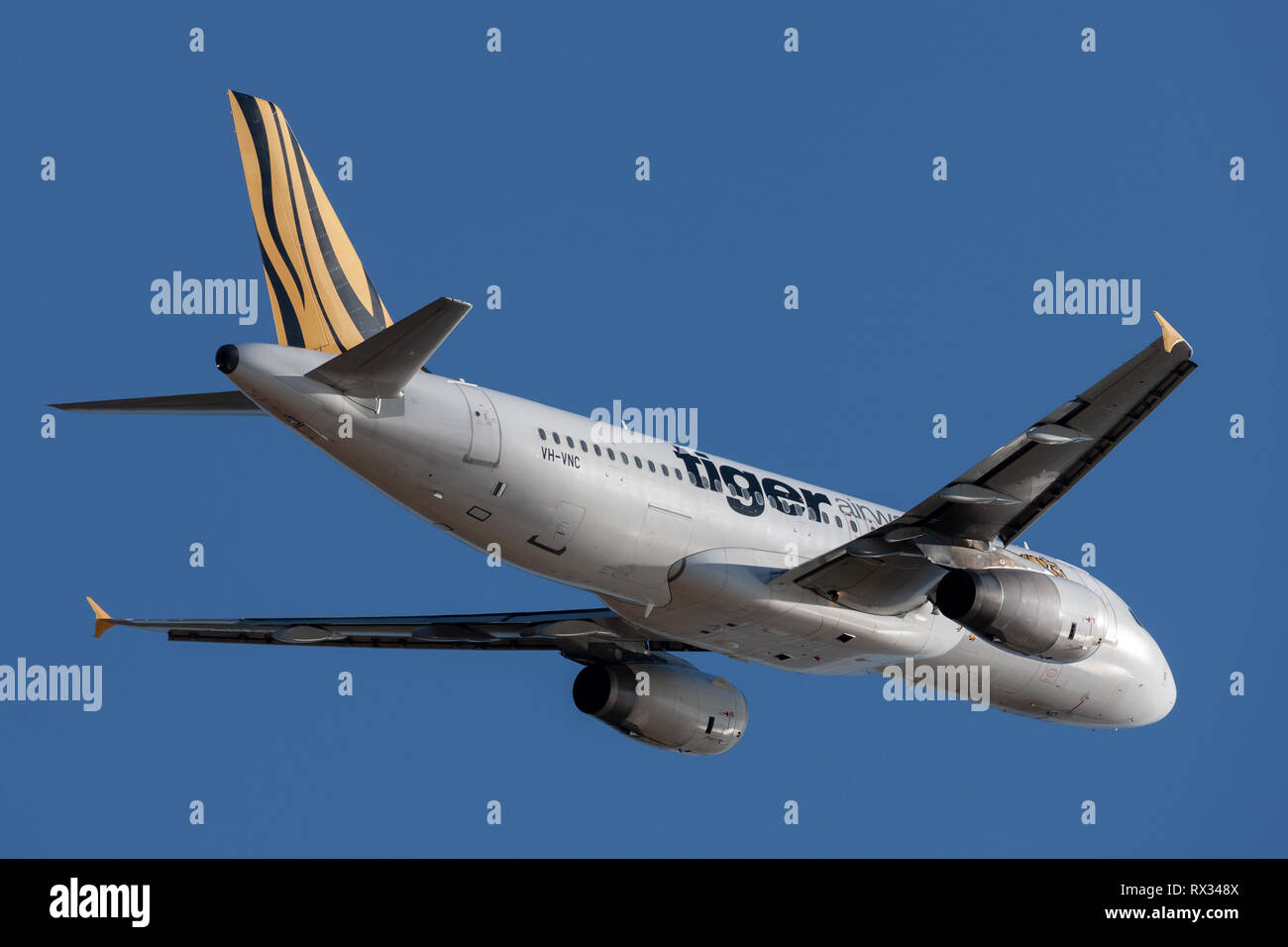 Tiger Airways Airbus A320 airliner Weg vom Flughafen Adelaide. Stockfoto