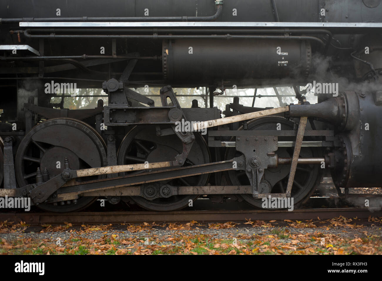 Die Chehalis-Centralia Eisenbahn Dampflok. In Olympia, Washington, USA. Stockfoto