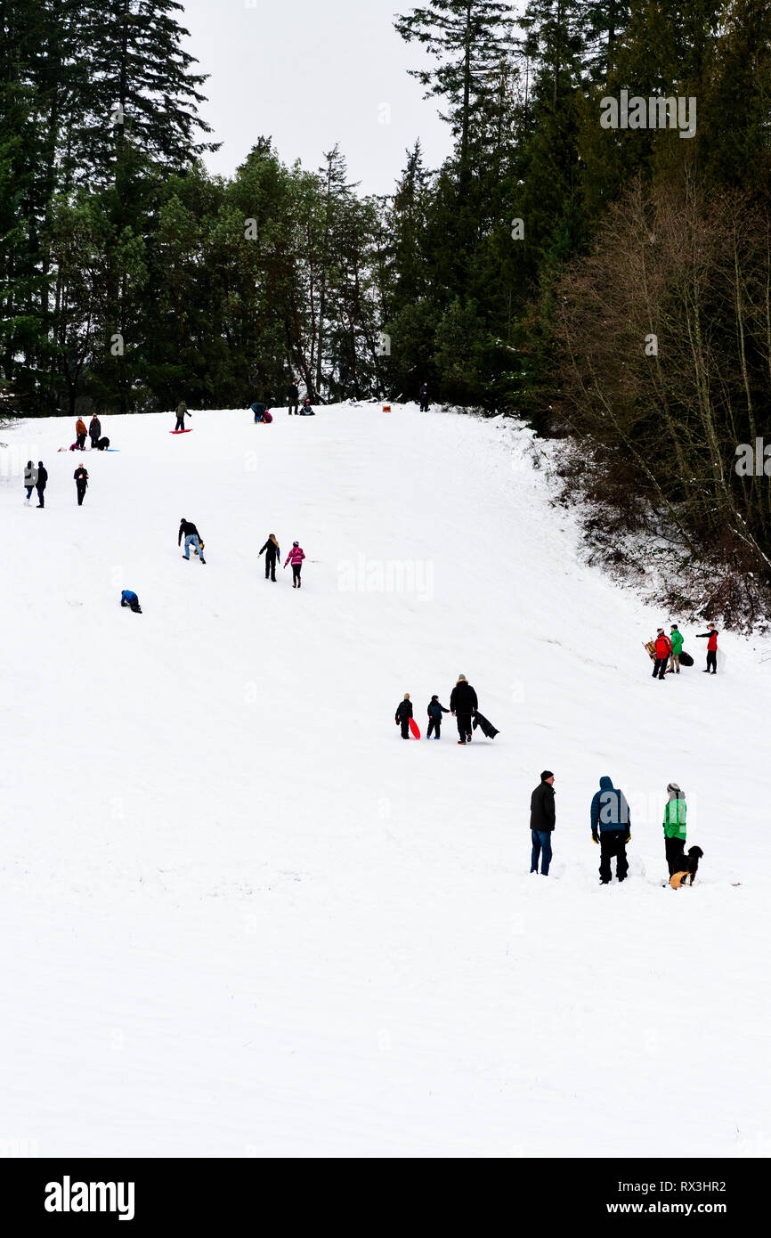 Menschen Rodeln im Schnee auf einem Hügel in Cobble Hill, British Columbia. Stockfoto