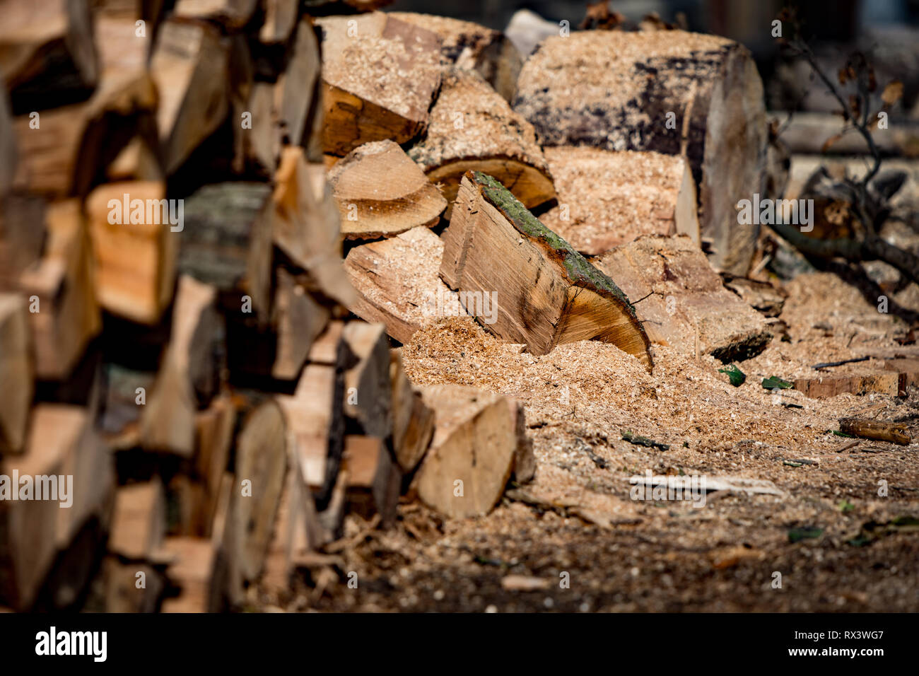 Holzfäller die Baumstämme für Brennholz mit einer Axt gehackt. Die Beschaffenheit von Holz. Natürliche gehackte Holz, für Heizung Stockfoto