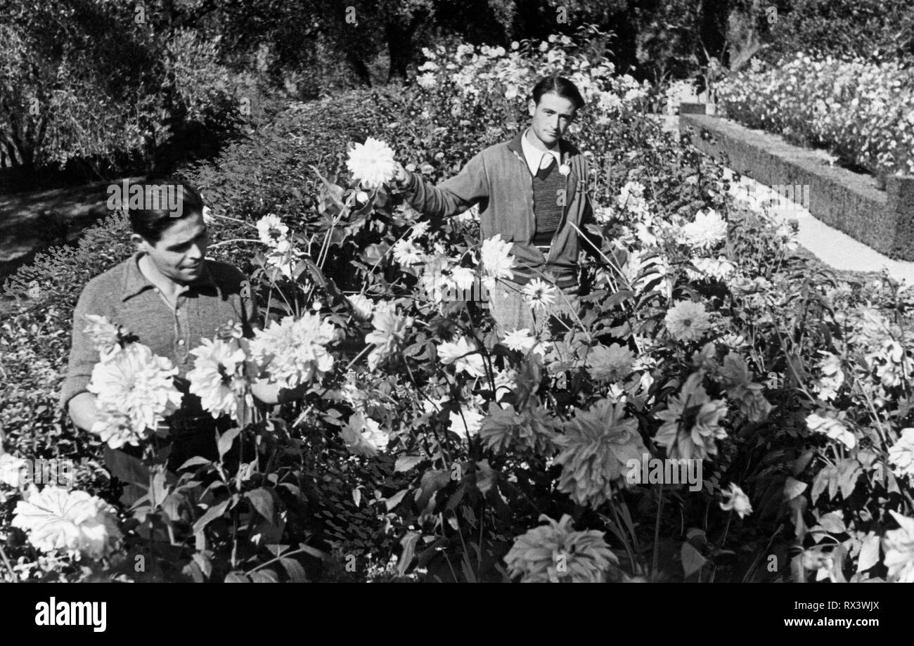 Italien, Ligurien, bordighera, Gärtner, 1940-1950 Stockfoto