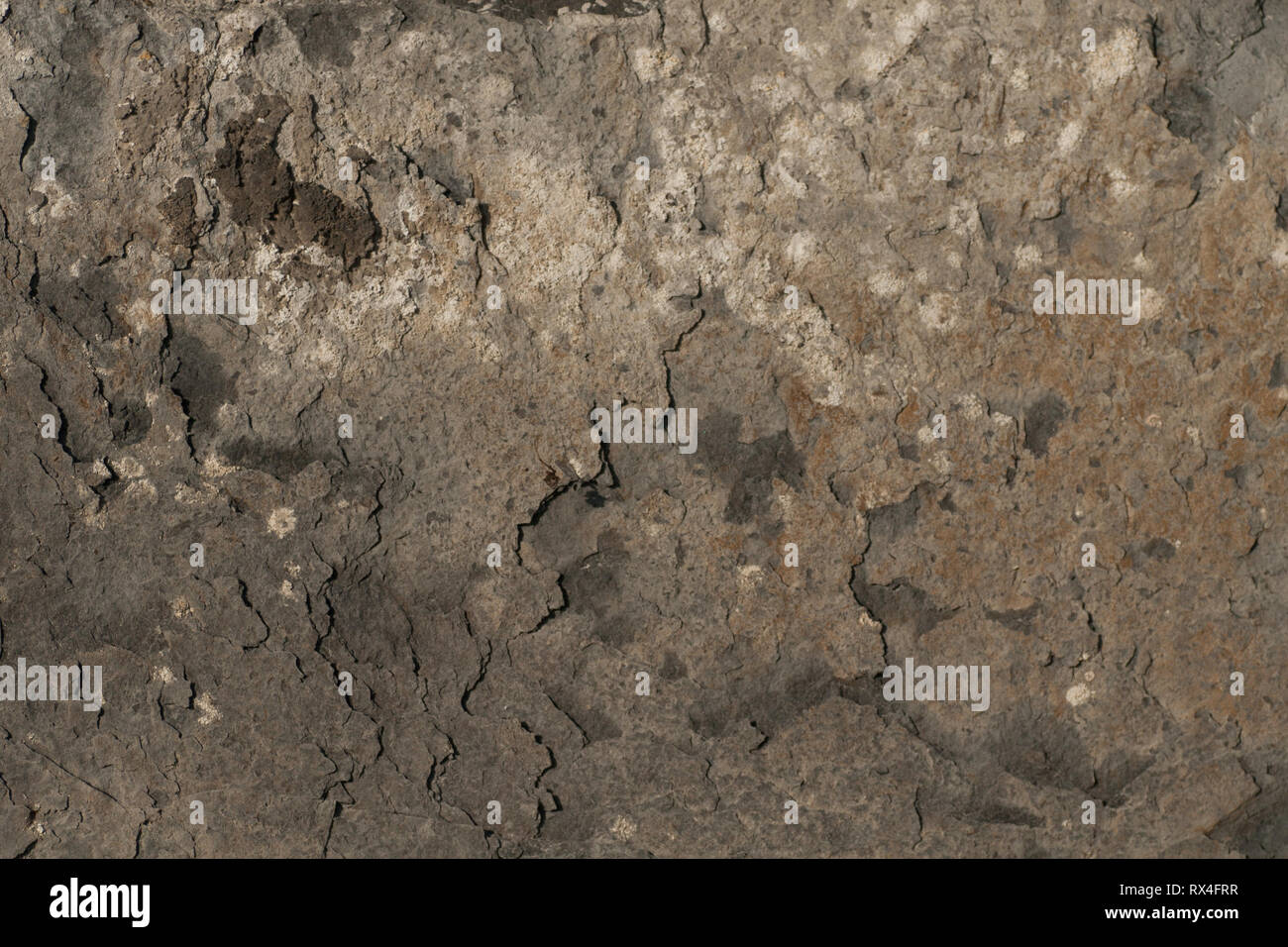 Textur auf der Außenwand Verkleidungen aus Stein oder Fliesen. Stockfoto