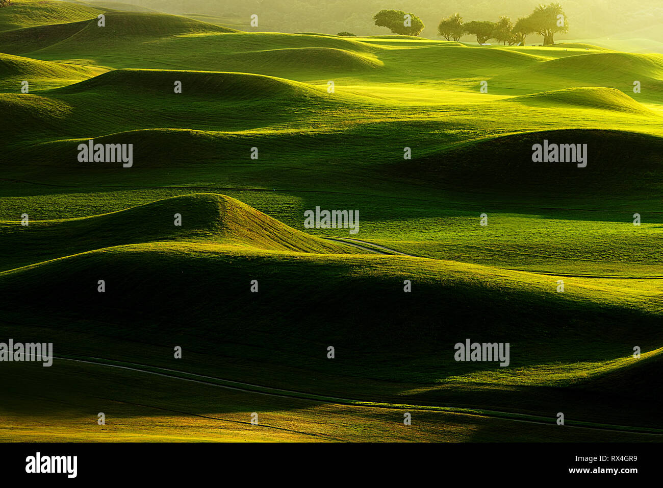Am frühen Morgen Blick auf Nizza Green Golf Platz, Taiwan Stockfoto