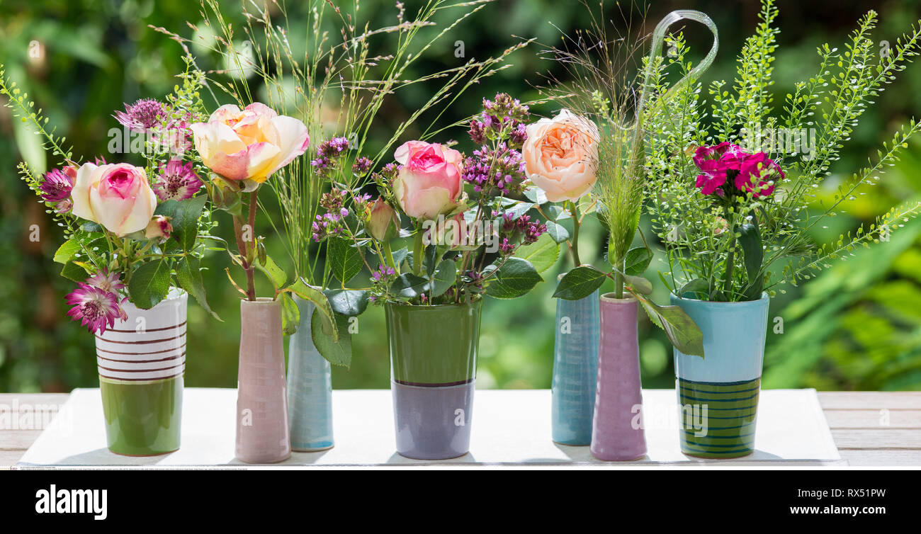 Botanik Mehrfarbige Einzelne Blume In Der Vase Vorsicht Fur Greetingcard Use Postcard Use In Deutschsprachigen Landern Gibt Es Einige Einschrankungen Stockfotografie Alamy