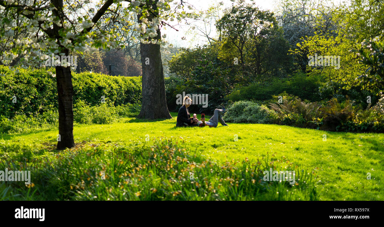 Sommer Picknick am Hyde Park Stockfoto