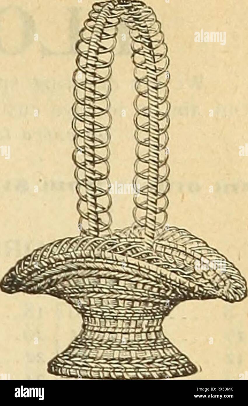 E H Jagd Katalog (1895) E.H. Jagd Katalog 1895 ehhuntscatalogu ehhu 0 Jahr: 1895 KLEEBLATT. ISO. 1049410494 Silber ein Es C. Jede. .. $ 35 45 flachen Schalen, Korb rund oder oval. Pro DOZ. 6 Zoll S 55'' 65 8 75 9 4 95 10 1 25 T 2' 1 70 BRAID WEISS. Jede. Art.Nr.6338, 9 Zoll S 45''55' 6338,10 6338,11" • 70 Stockfoto