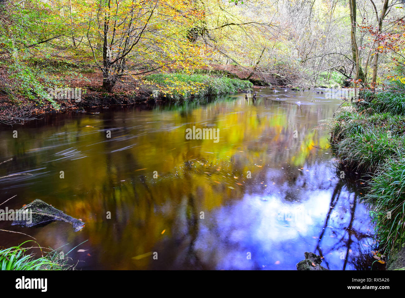 Herbstliche Fluss, Hebden Wasser, Hardcastle Crags, Hebden Bridge, Calderdale, West Yorkshire Stockfoto