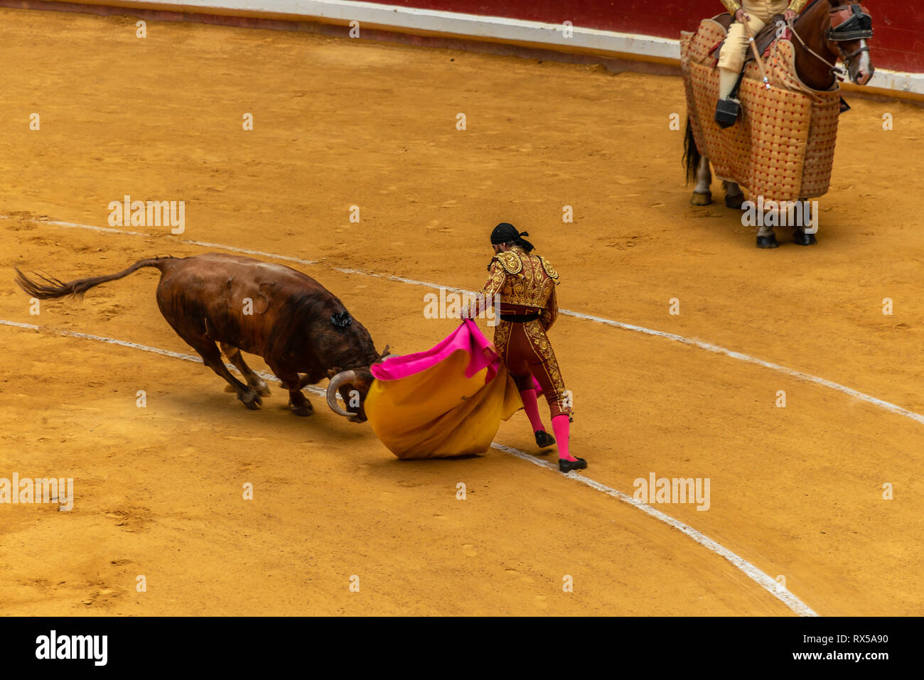 Spanische Stierkampf, brave Bull und Stierkämpfer Stockfoto