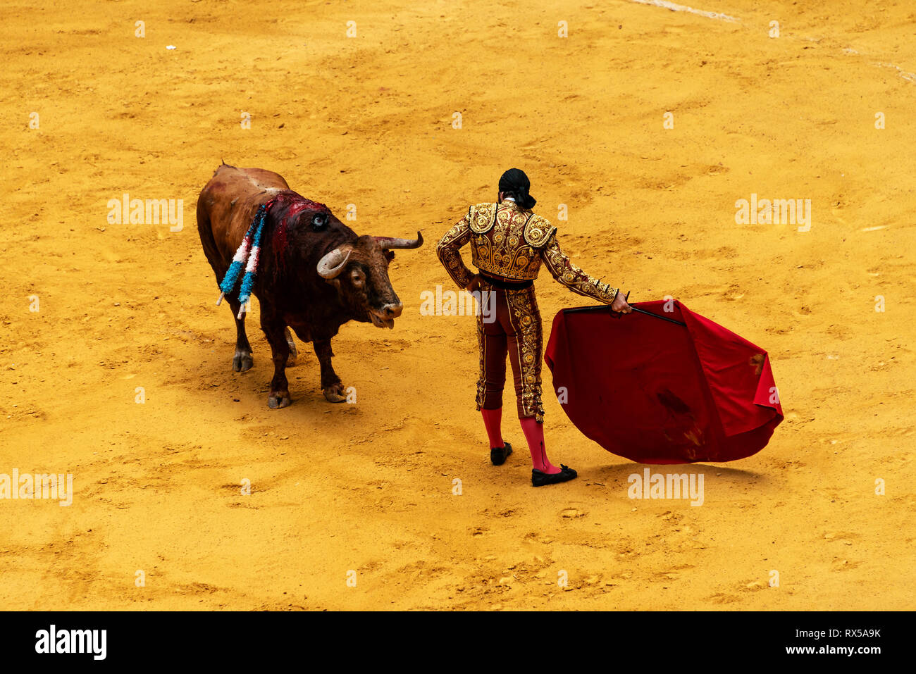 Spanische Stierkampf, brave Bull und Stierkämpfer Stockfoto