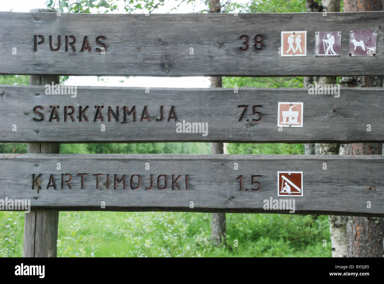 Zeichen oder waymarkers für Spaziergänge, Wanderungen, Ski und Hundeschlitten Trails in der Taiga forest im Norden Finnlands Stockfoto