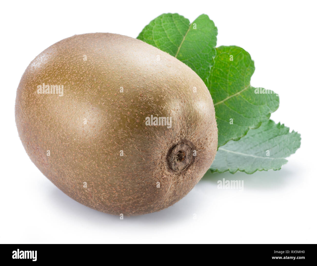 Golden Kiwi oder Chinesische Stachelbeere mit Blatt auf weißem Hintergrund. Stockfoto