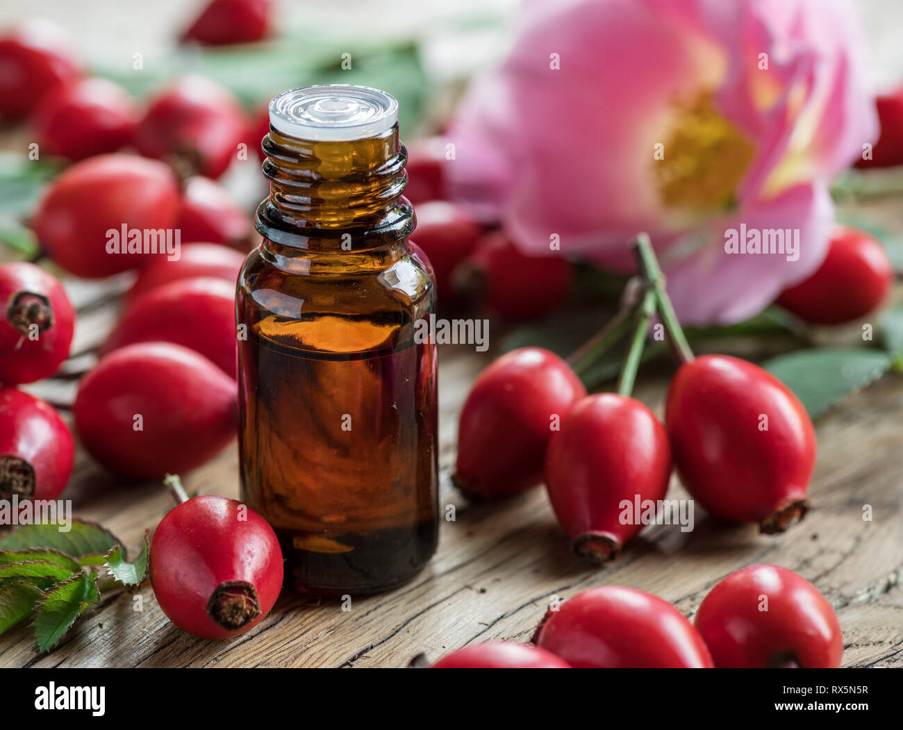 Hagebutten und Hagebuttenkernöl auf dem Holztisch. Close-up. Stockfoto