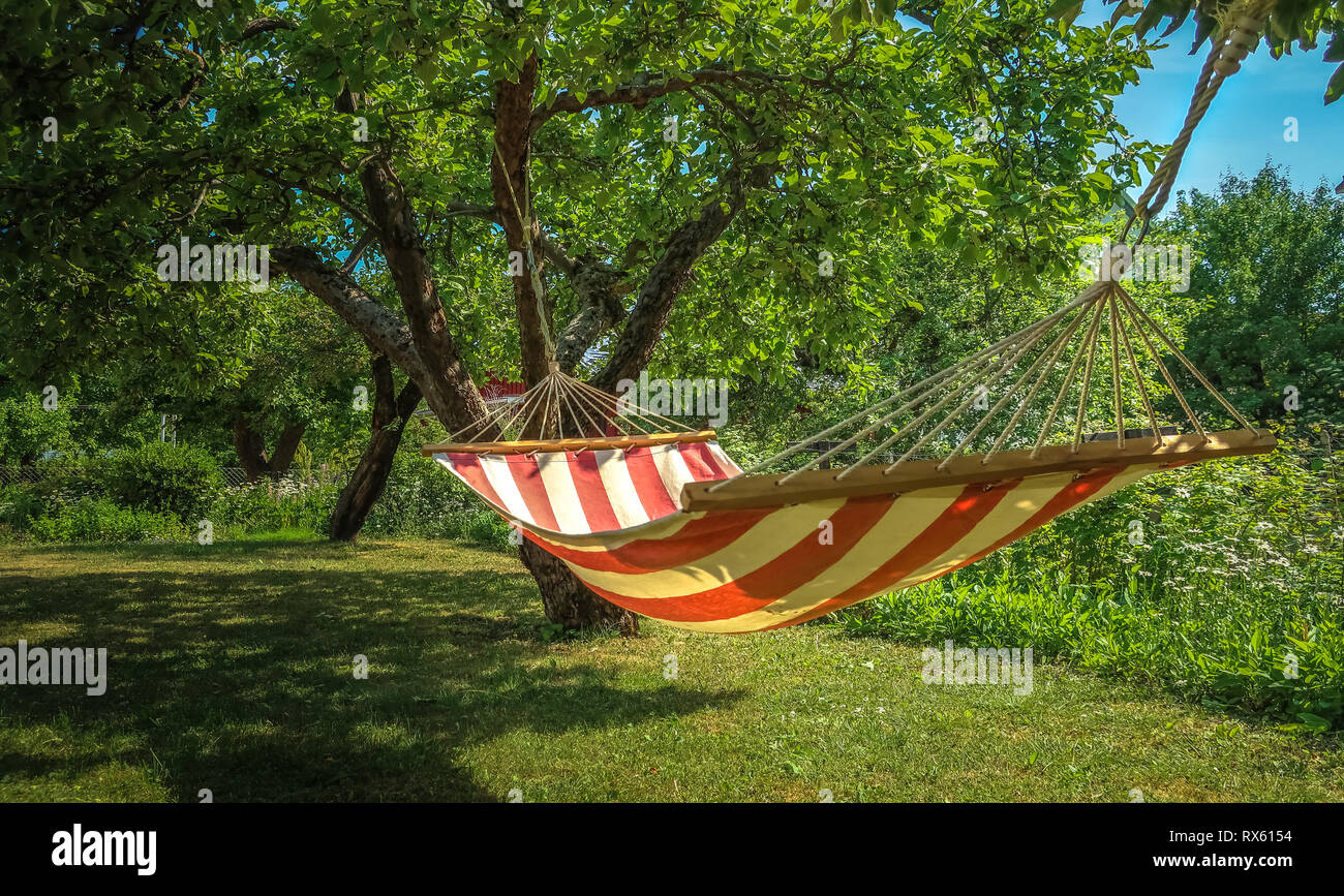 Eine gestreifte Hängematte zwischen zwei Bäume in einem sonnigen, grünen  Garten. Konzept für Urlaub, Sommerferien und faule Tage Stockfotografie -  Alamy